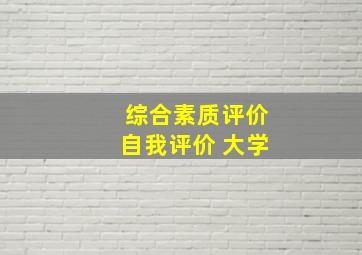 综合素质评价自我评价 大学